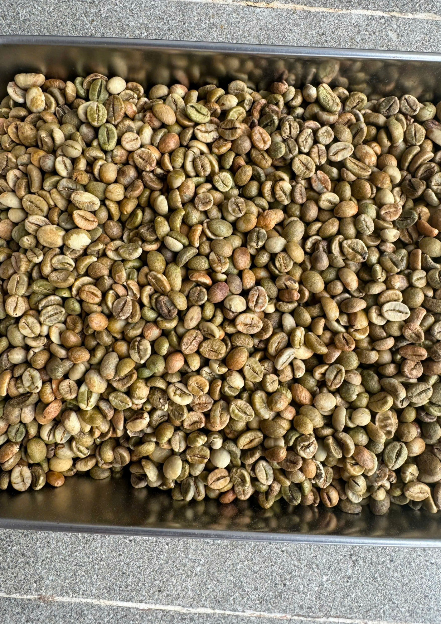 Robusta Coffee
